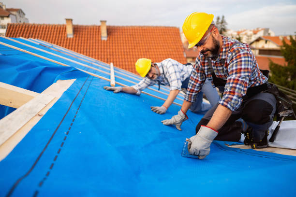 Best Gutter Installation and Roofing  in Deerfield, WI